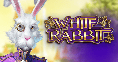 White Rabbit at Vavada